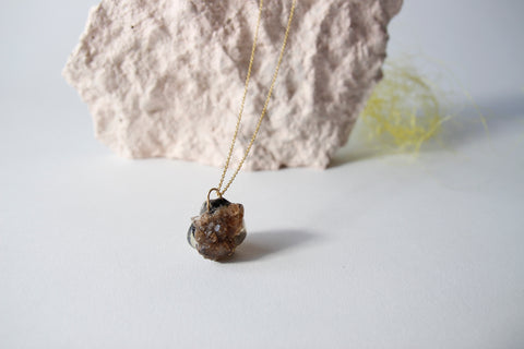 Amulet necklace in earthly wonder